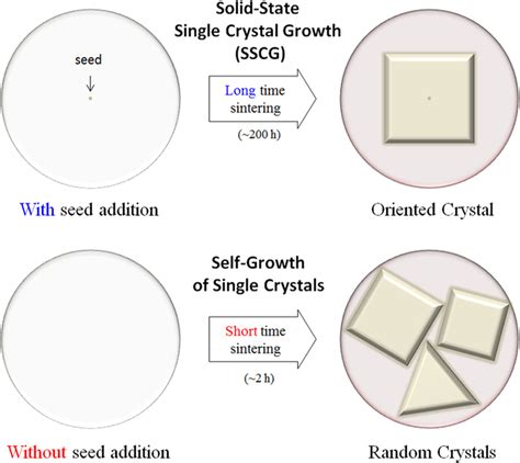 solid state single crystal growth